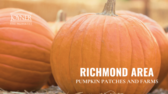 Richmond Pumpkin Patches